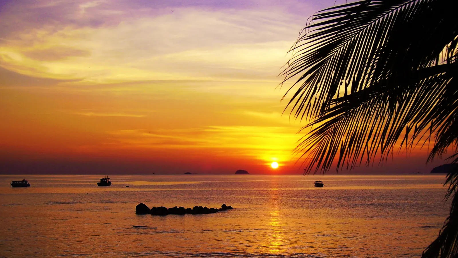 Malaysia beach sunset with palm tree silhouette